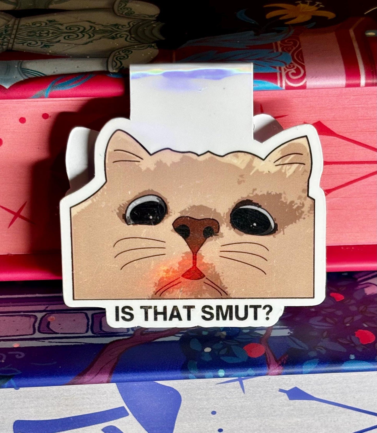 Mini Is That Smut Cat Meme Magnetic Bookmark