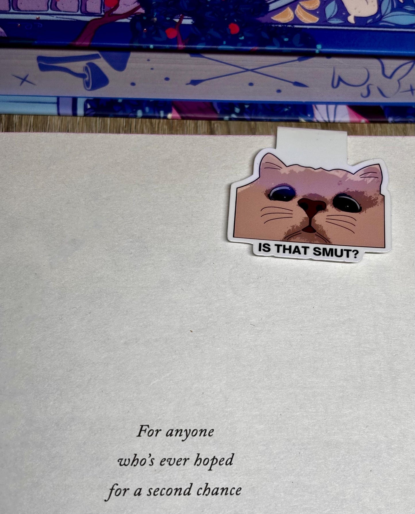 Mini Is That Smut Cat Meme Magnetic Bookmark