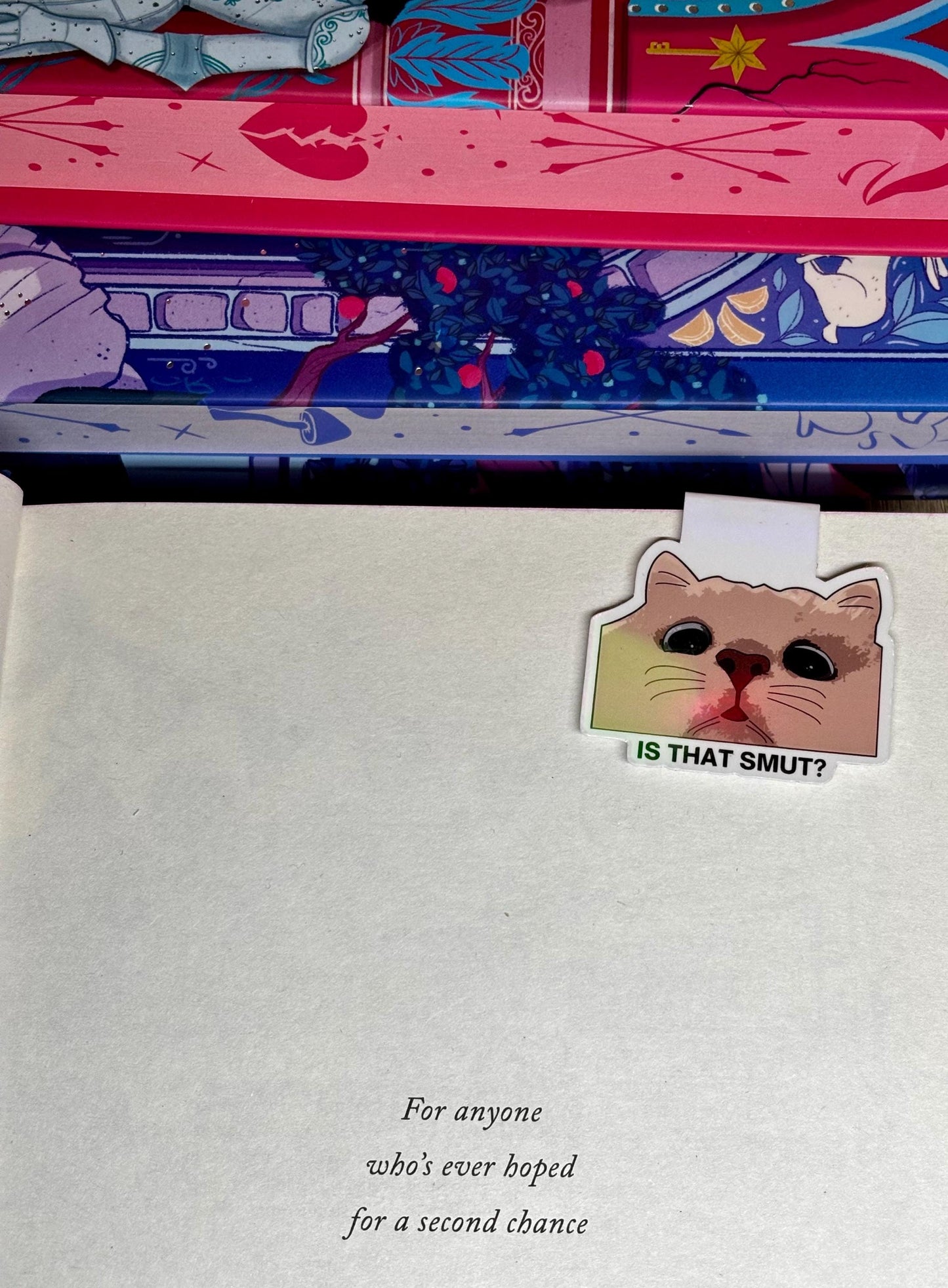 Mini Is That Smut Cat Meme Magnetic Bookmark