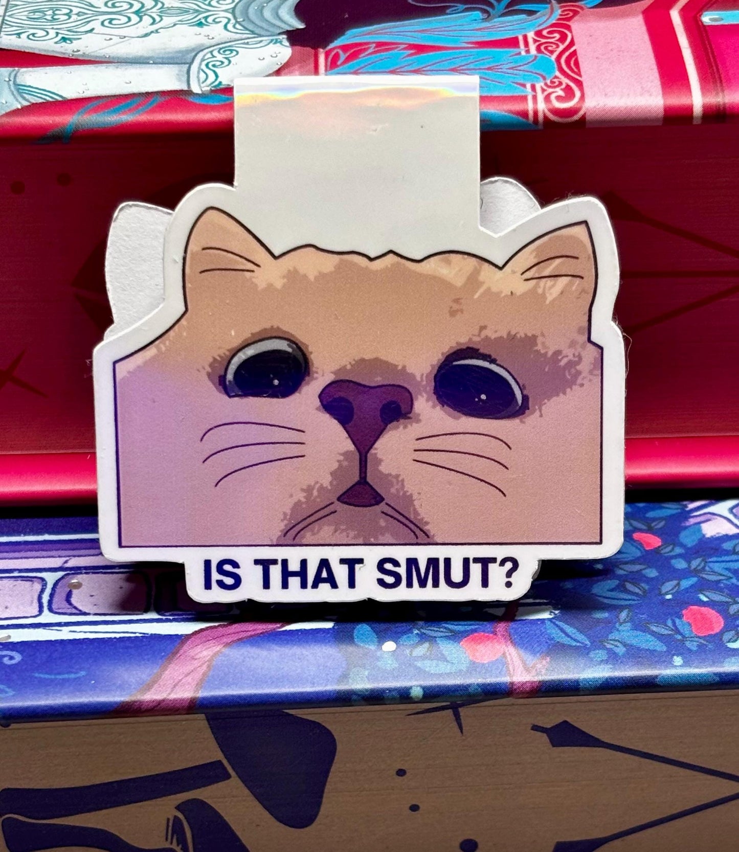 Mini Is That Smut Cat Meme Magnetic Bookmark